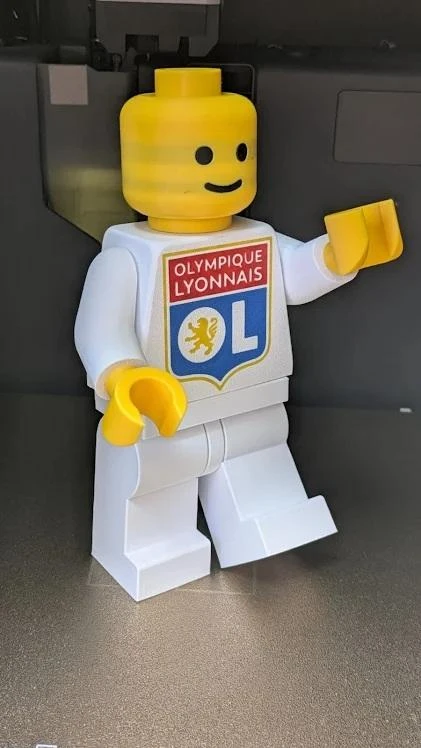 Olympique Lyonnais baksteenfiguur – Fan OL (20cm) – photo 4